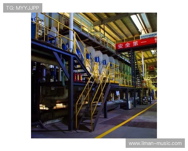 w66利来ag旗舰品牌信誉建设与市场扩展策略,开启高速增长的新局面