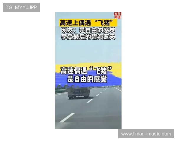 加入凯发5G电游，享受极速充值提现服务，确保每一次游戏体验都顺畅无忧